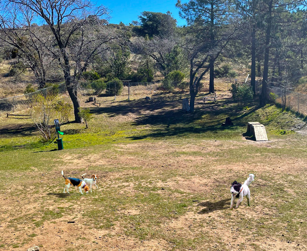KQ Ranch — photo 8