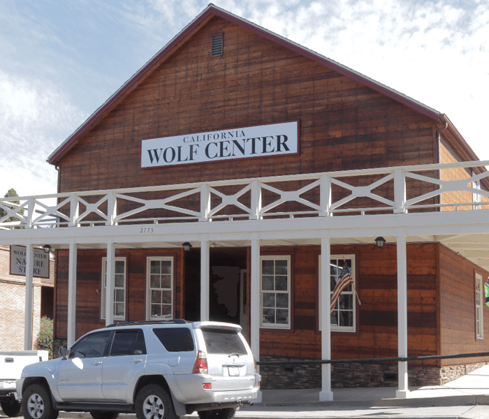 California Wolf Center